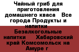 Чайный гриб для приготовления домашнего кваса - Все города Продукты и напитки » Безалкогольные напитки   . Хабаровский край,Комсомольск-на-Амуре г.